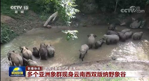 探索数字背后的奥秘，62,987的神秘之旅626969acom澳彩开奖结果查询 相关网站路人皆