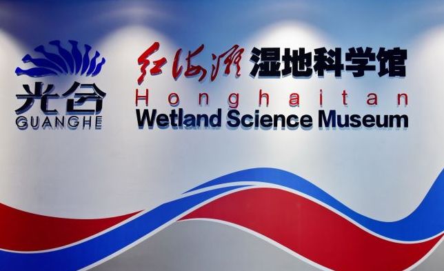 探索知识宝库，走进资料之家的奇妙世界优质资料之家