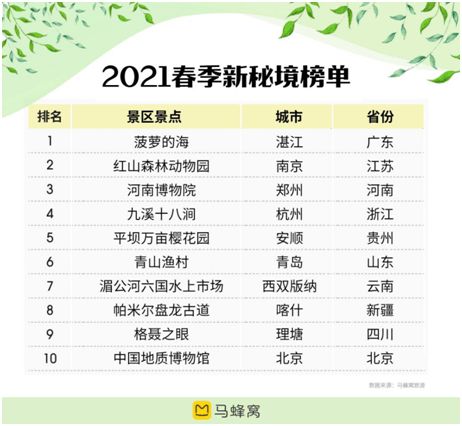 2041年，未来彩票的奇幻之旅—今晚澳门开奖码结果揭秘2021年今晚澳门彩开奖结果376969
