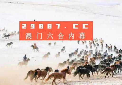 澳门彩49，揭秘最新开奖记录与趋势分析新澳门彩4949最新开奖记录新奥