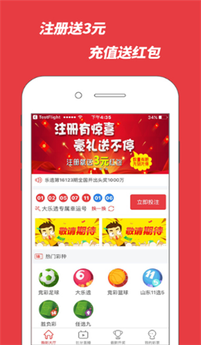 揭秘王中493与特肖的神秘面纱，理性看待彩票中的概率游戏王中王493333中特一网|493333王中王开奖结果