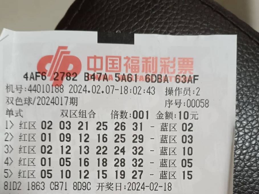 揭秘新澳2046今晚开奖资料，理性看待彩票，享受生活乐趣新澳2024今晚开奖资料123