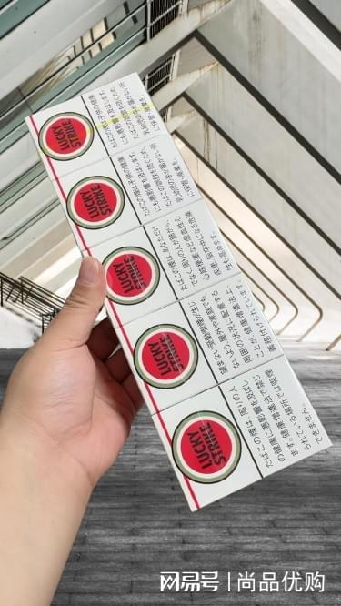 探索二四六天天好彩(94.cc)正版平台的魅力与价值