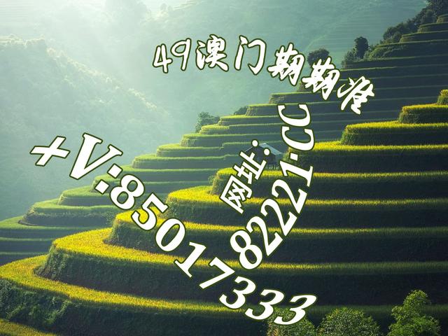 红姐 第37页