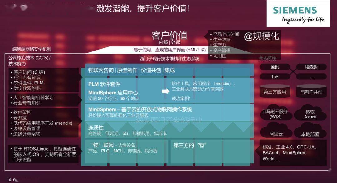 揭秘中特一肖，数字背后的奥秘与真相中特一肖一码鬼谷子