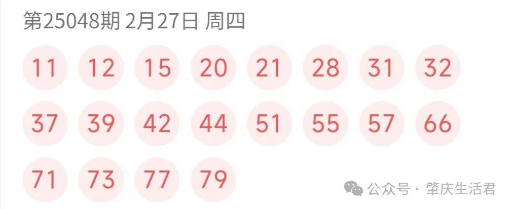 今晚澳门开码，揭秘彩票背后的故事与期待今晚澳门开码开奖结果今晚