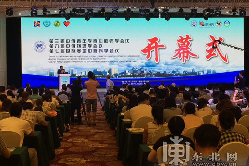 百家乐论坛，线上娱乐与策略交流的多元化平台
