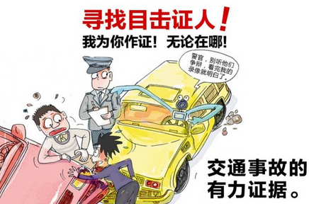 探索新跑狗，高清彩图下的速度与激情新跑狗高清跑狗图彩图大全