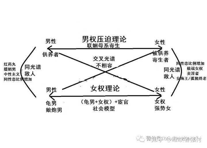 双性人生，殒命之谜与自交图片的伦理探讨—一场关于身份、爱欲与社会认知边界的实验场双性人功能及结构图片