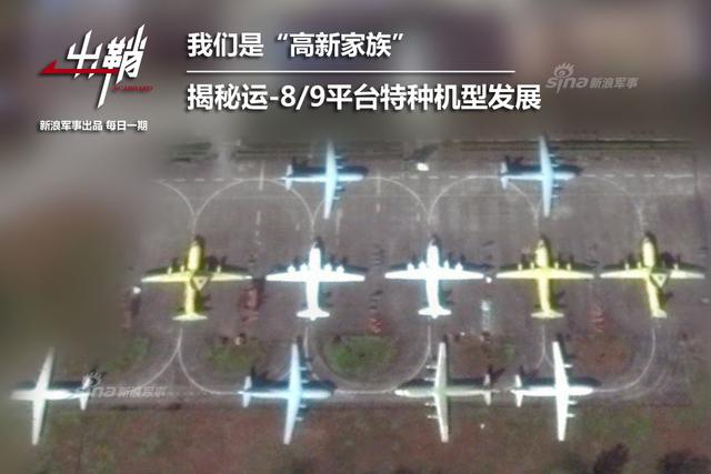 揭秘四肖选一，洞悉中特特的奥秘四肖选一肖一特