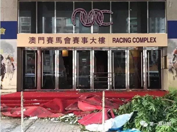 2018年澳门马会传真资料全库，深度解析与未来展望帮我查一下澳门马会传真