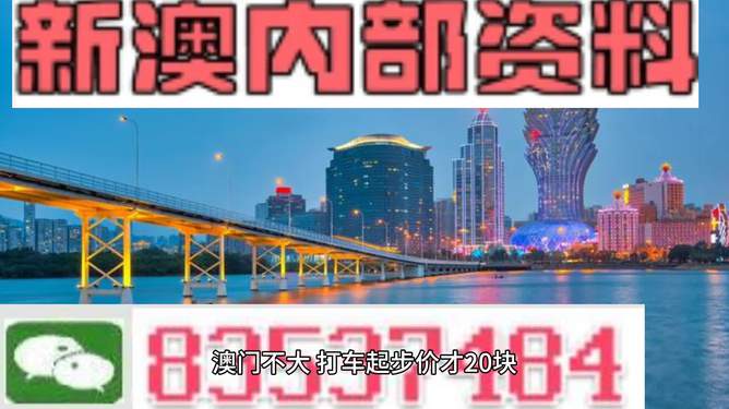 2049，澳门未来展望与精准资料探索的启示—从历史脉络到科技前沿的思考之旅2020澳门精准资料大全—欢迎
