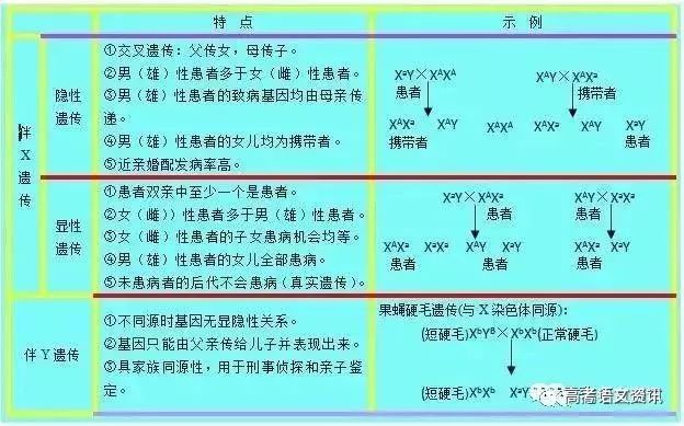 揭秘四肖选一中的特之奥秘—精准预测的智慧与策略四肖选一肖一特