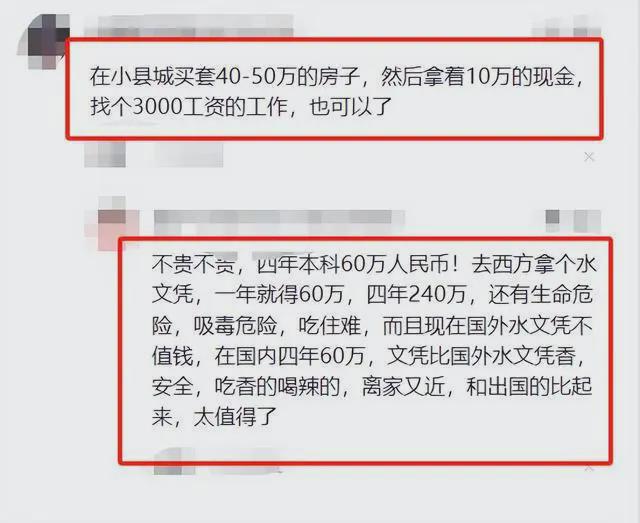 2048澳门天天开好彩大全，揭秘数字游戏的魅力与策略2024澳门天天开好彩大全下载地址