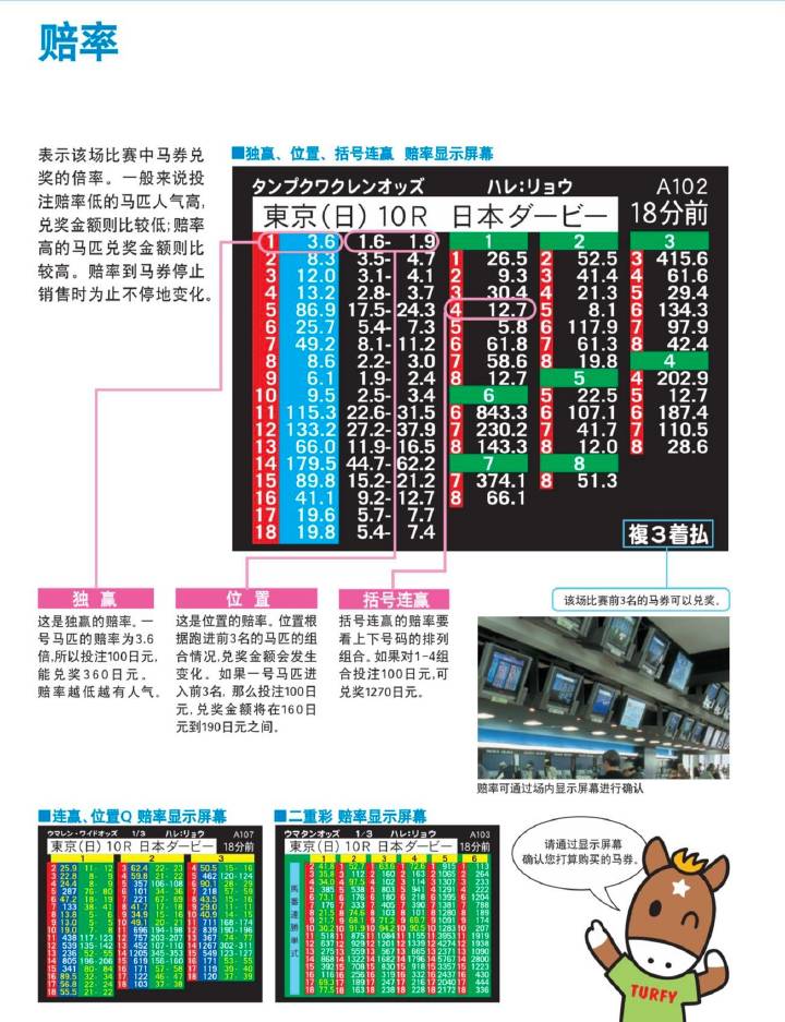 探秘马会传真资料网站论坛，赛马的智慧与激情交汇处马会传真论坛app