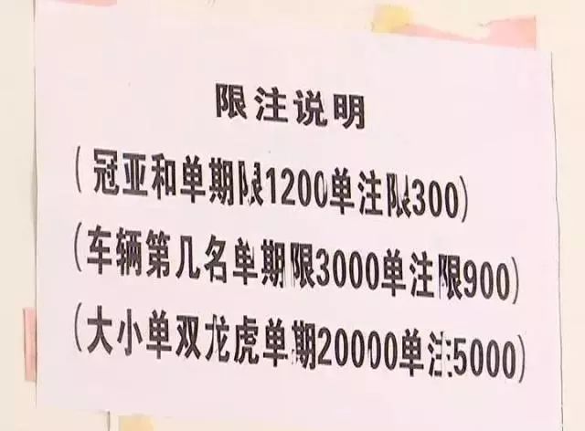 广西二五仔 第15页