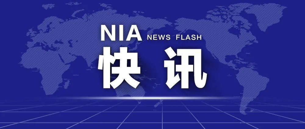 揭秘新澳204今晚开奖，理性看待彩票，享受娱乐而非依赖梦想的捷径新澳2024今晚开奖资料四不像