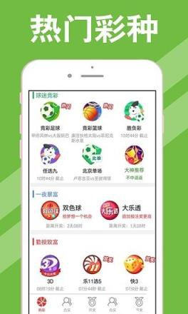 澳门新彩，2048年开奖记录查询官网的全面解析新澳门开奖结果2024开奖记录查询官网今天