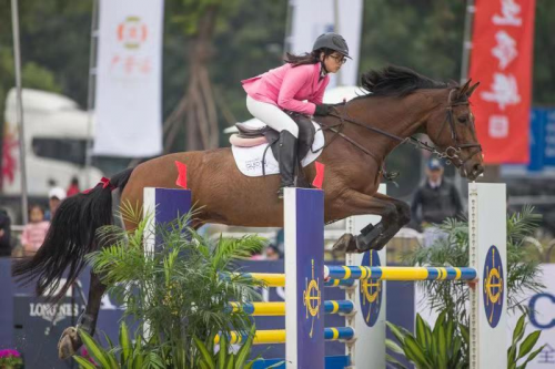 2019年香港马内部免费资料，揭秘赛马的背后与策略香港马资料大全2019
