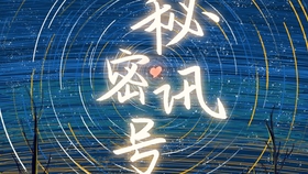 探索期四肖选一的奥秘，理性与直觉的天平期期四肖选一肖o13888