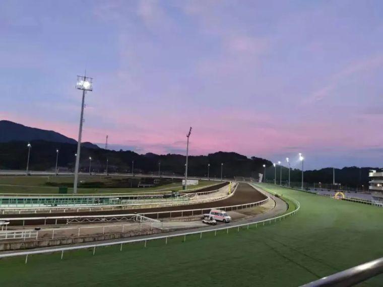 探索香港马会全年资料大全，历史、成就与未来展望香港2021年马会资料大全
