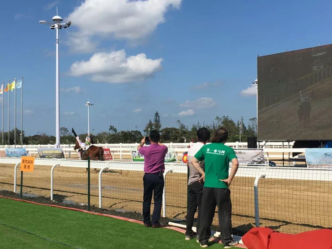 探索香港正版马会精选资料大全，揭秘赛马的智慧与激情香港正版马会精选资料大全南方生肖有几个