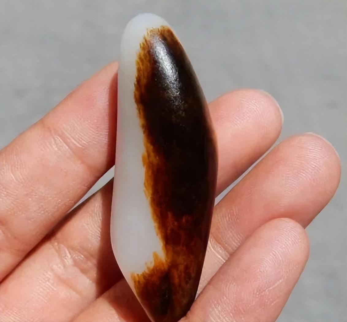 免费正版资料大全，解锁知识海洋的无限可能正版资料免费资料大全十点半网站
