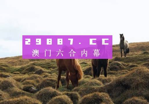 2019年澳门开奖全部结果记录，回顾与反思2021年澳门开奖记录完整版
