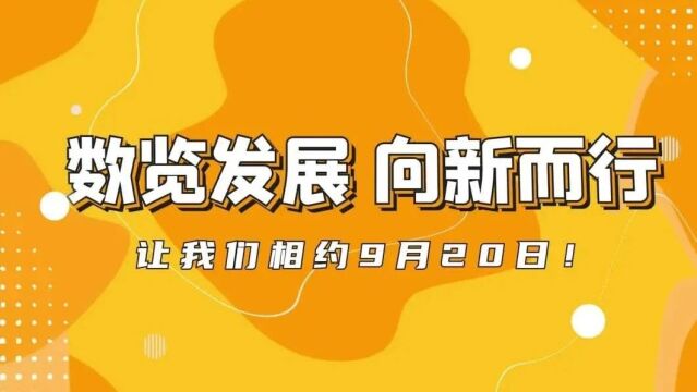 管家婆三肖，揭秘最新一期的神秘面纱管家婆三肖三码必中特