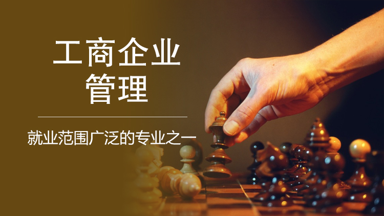 探索期四肖选一的奥秘，理性与智慧的博弈期期四肖选一肖4949