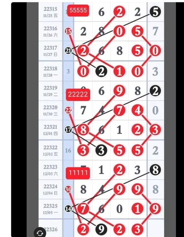 探索二肖3码的奥秘，解锁数字背后的智慧与乐趣二肖3码今天的资料