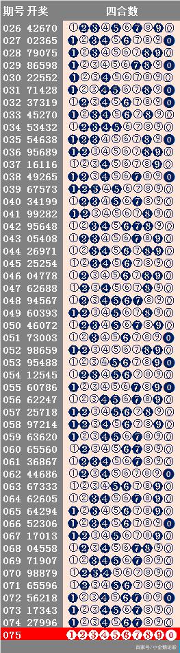 探索2肖3码的奥秘，解锁数字游戏的智慧与策略2肖3码 192.168.0.1